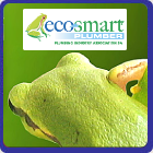 Eco-Smart Plumbing